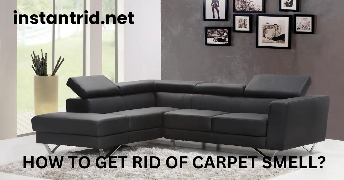 how to get rid of carpet smell