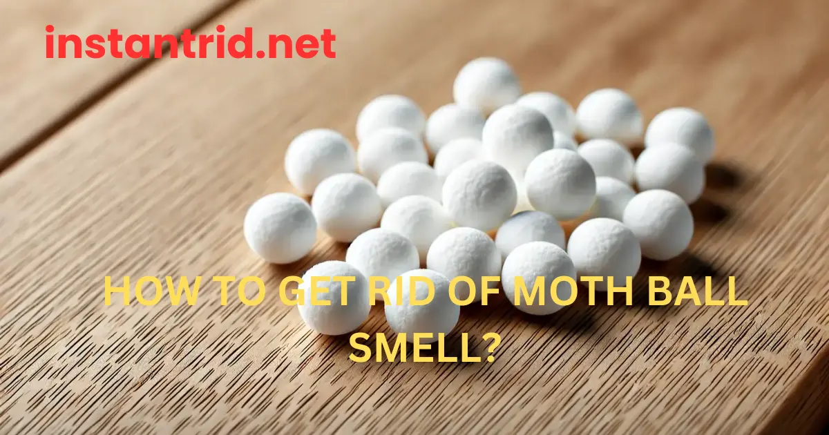 how to get rid of moth ball smell