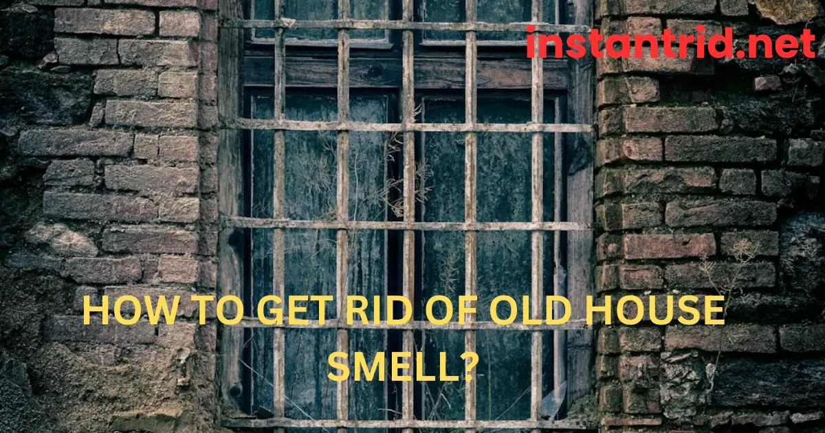 how to get rid of old house smell