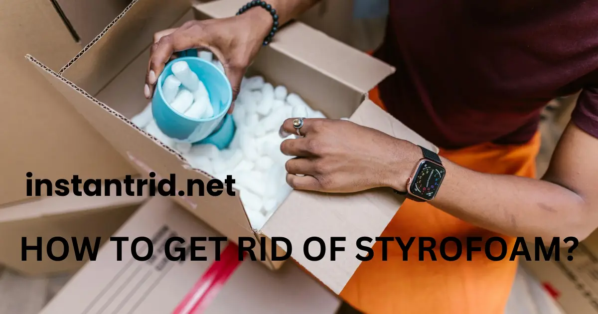 styrofoam