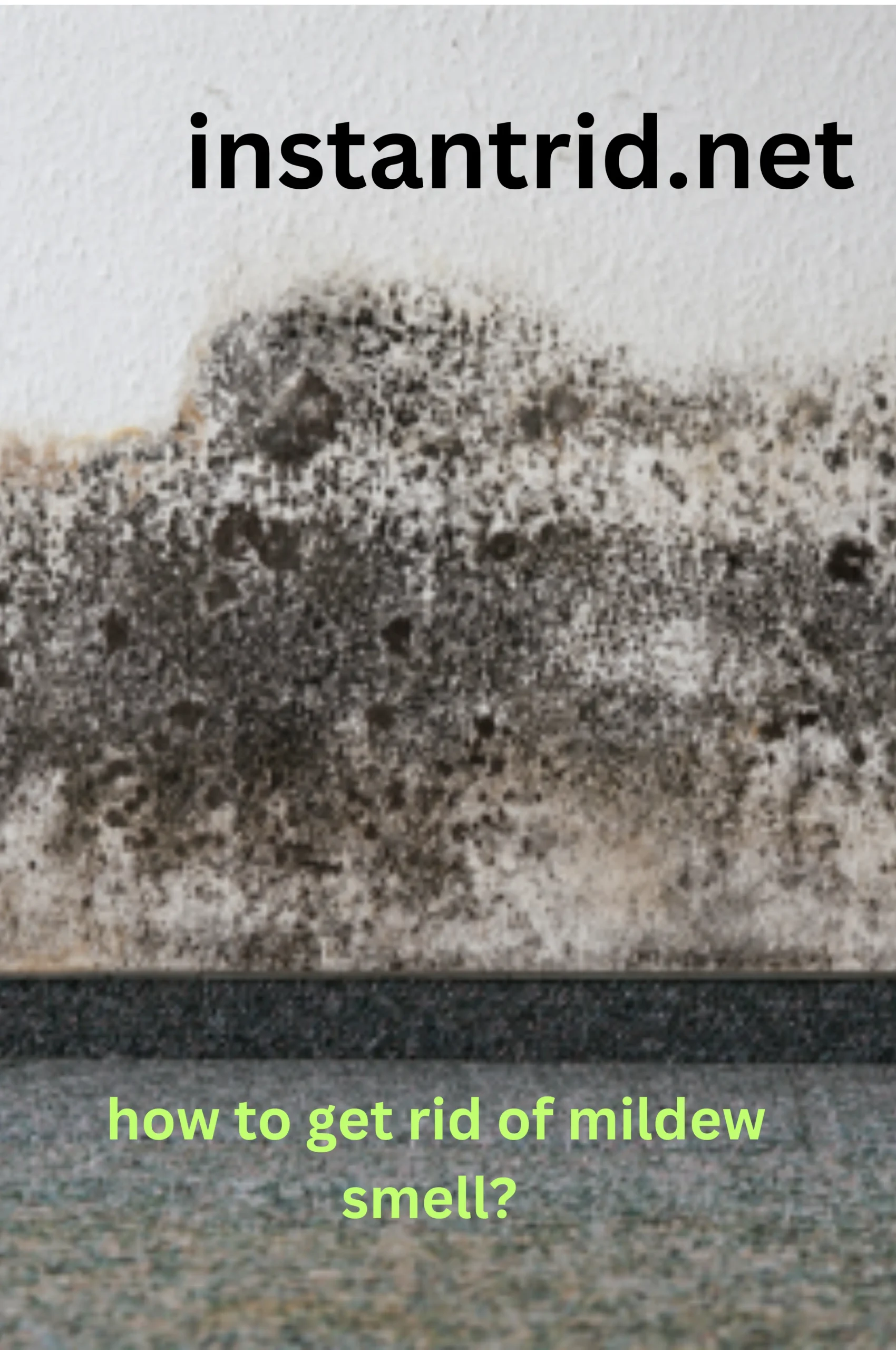 how to get rid of mildew smell