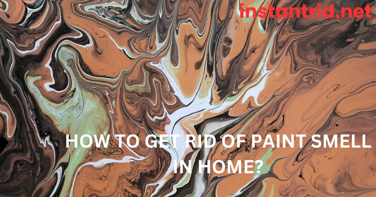 how to get rid of paint smell in home