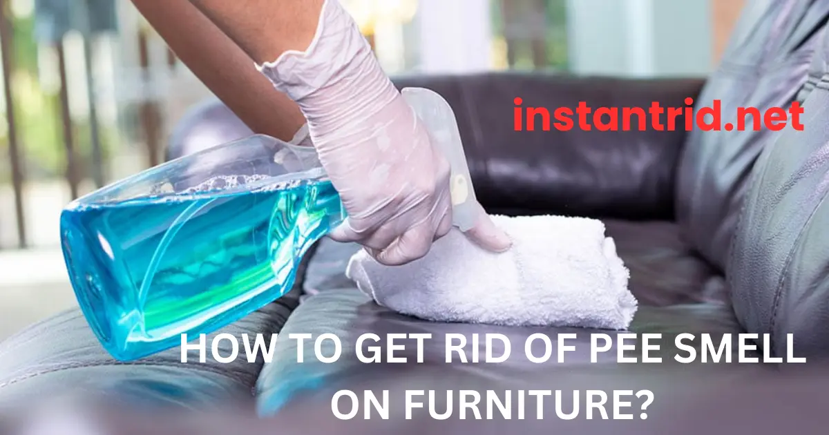 how to get rid of pee smell on furniture