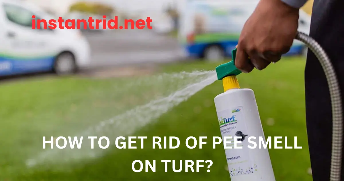 how to get rid of pee smell on turf