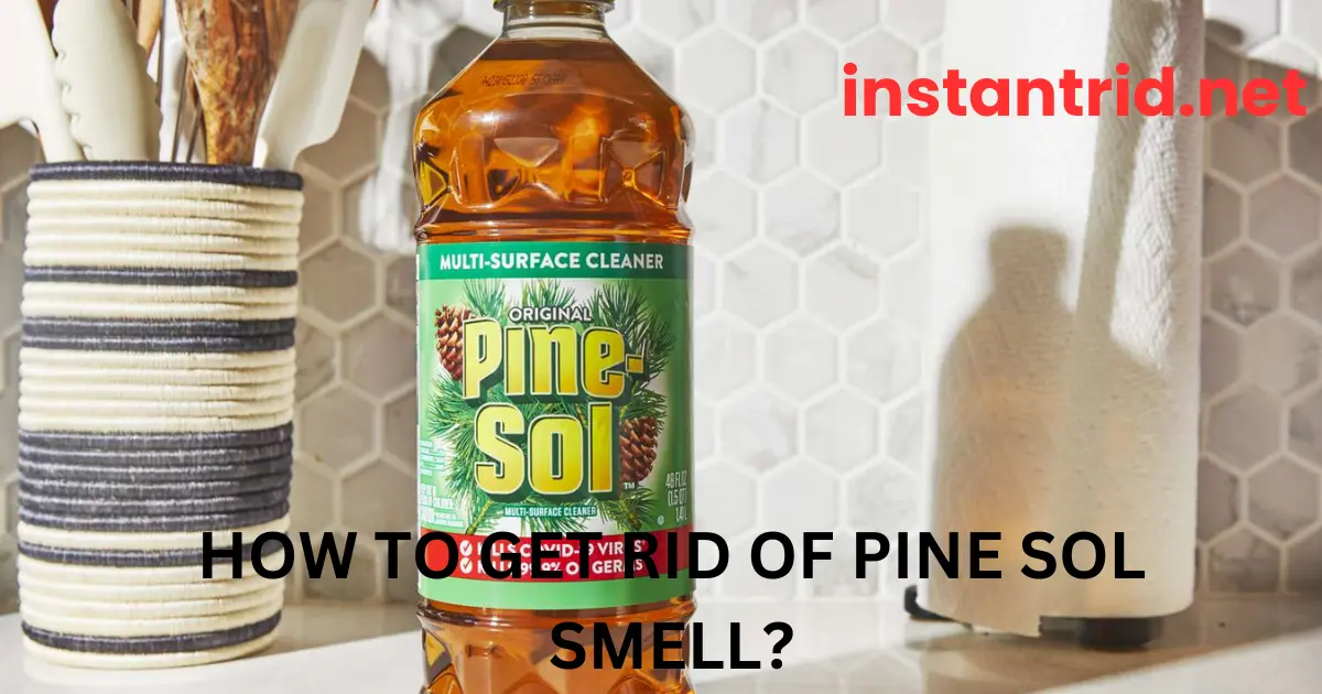 how to get rid of pine sol smell