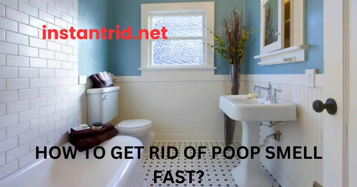 how to get rid of poop smell fast