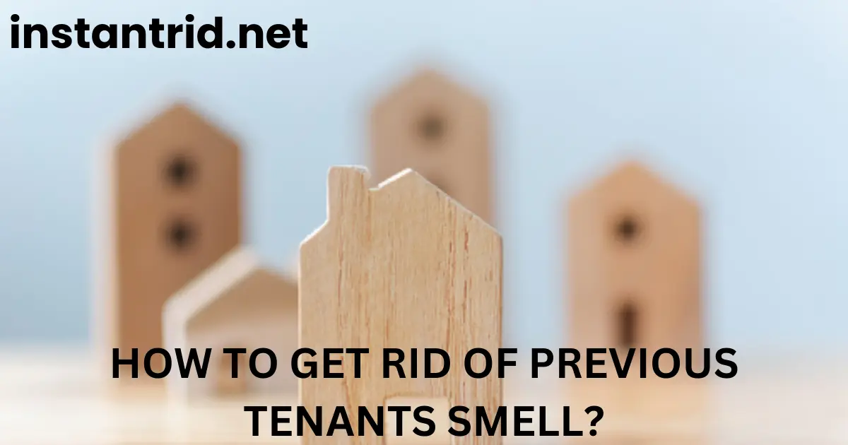 how to get rid of previous tenants smell