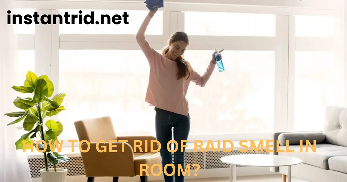 how to get rid of raid smell in room