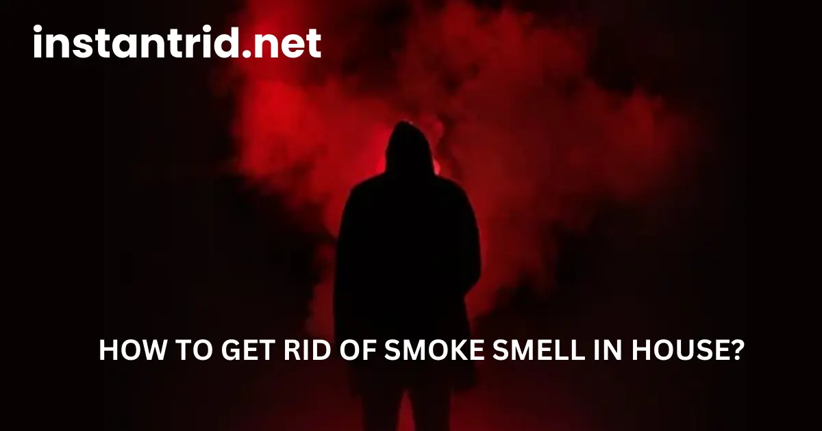 how to get rid of smoke smell in house