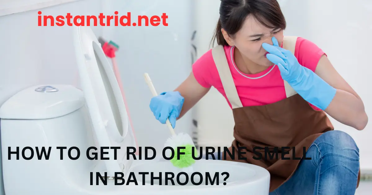 how to get rid of urine smell in bathroom