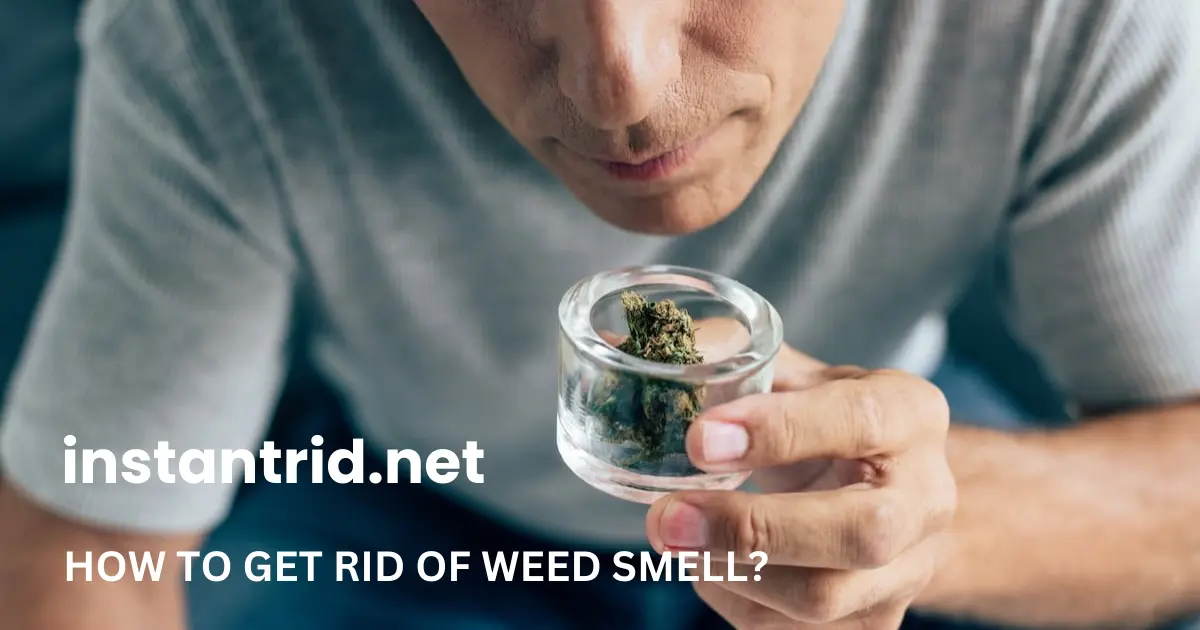 how to get rid of weed smell