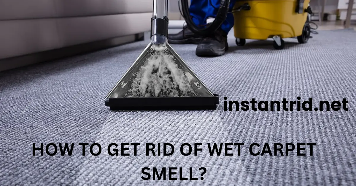 how to get rid of wet carpet smell